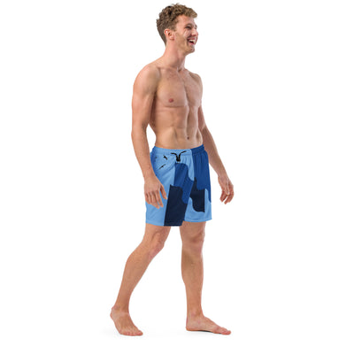 Men's swim trunks