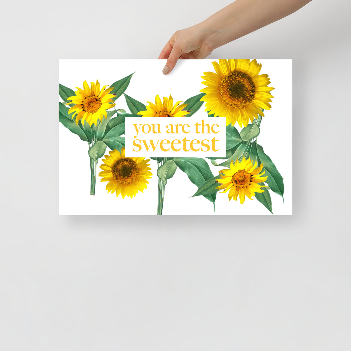 Poster Sunflower