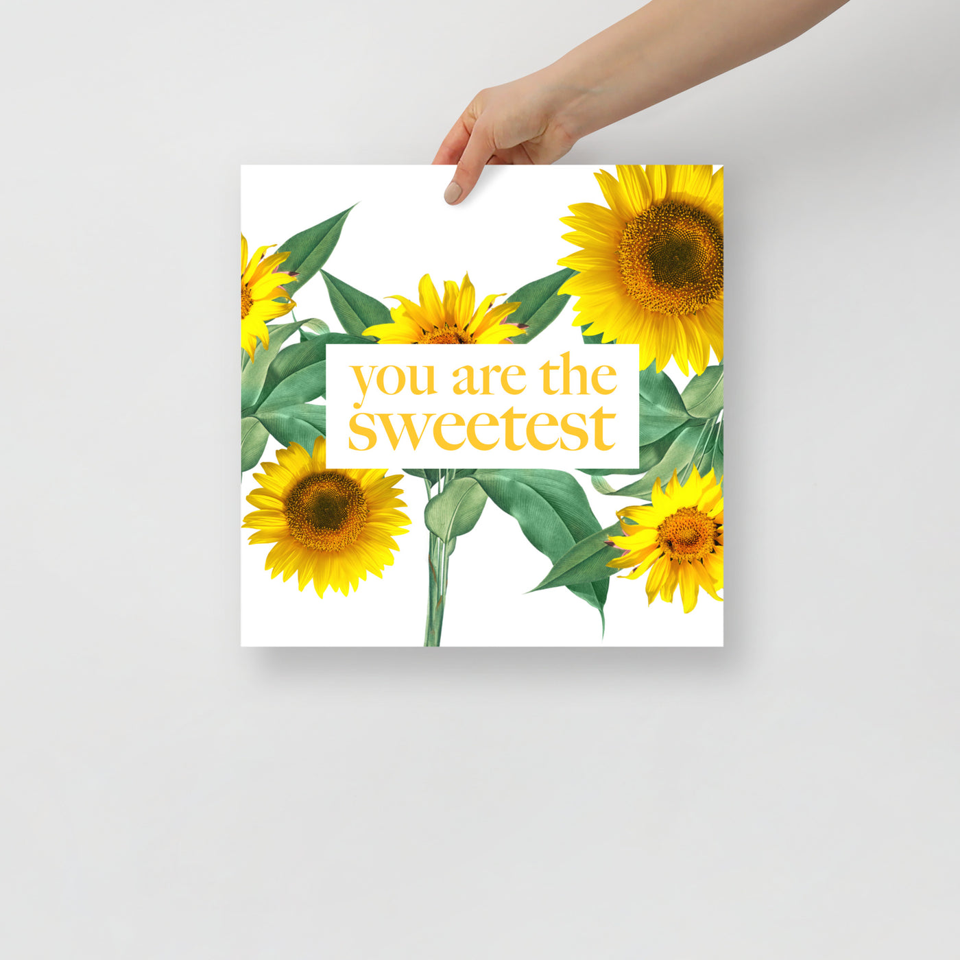 Poster Sunflower