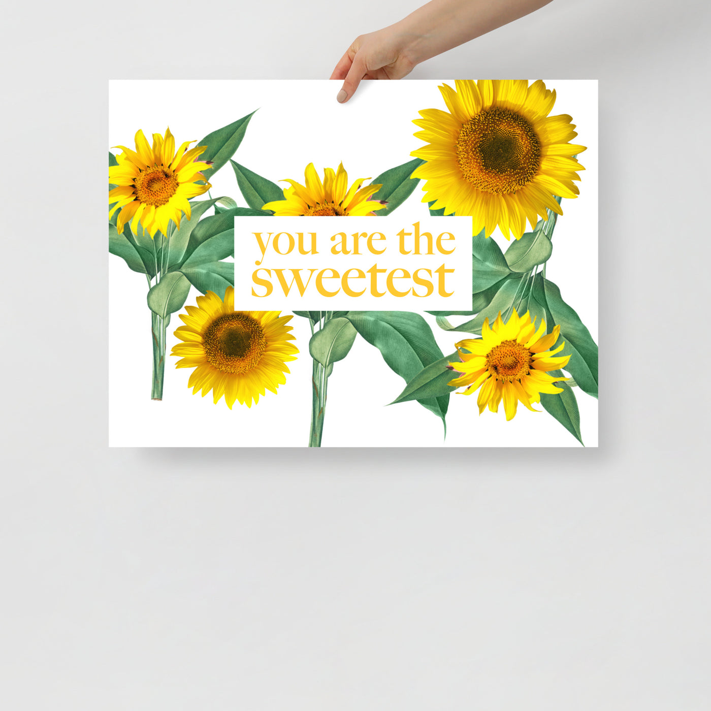 Poster Sunflower